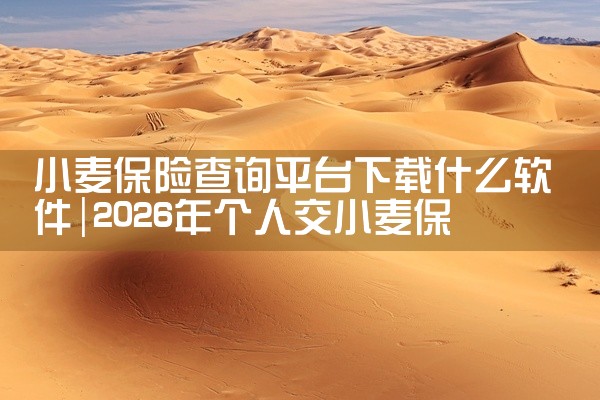 小麦保险查询平台下载什么软件