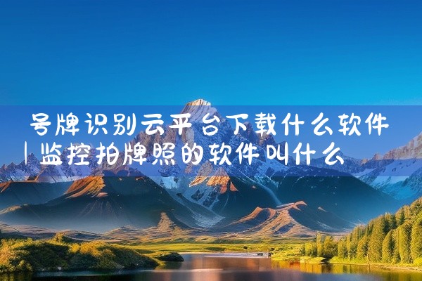 号牌识别云平台下载什么软件