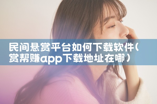 民间悬赏平台如何下载软件
