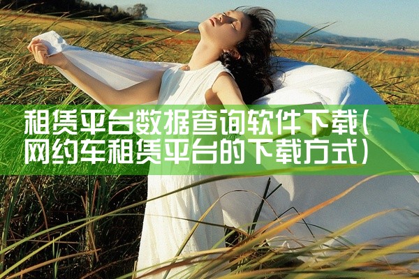 租赁平台数据查询软件下载