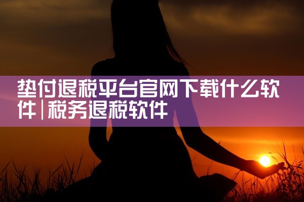 垫付退税平台官网下载什么软件