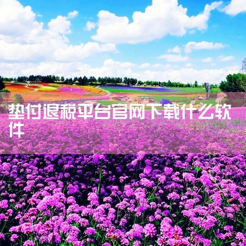 1、退税下载的软件是：“个人所得税”。2、“个人所得税”App一般指个人所得税（国家税务总局发布APP）。2018年12月31日，由国家税务总局开发的个人所得税APP软件的专项附加扣除信息填报功能正式,