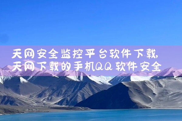 天网安全监控平台软件下载