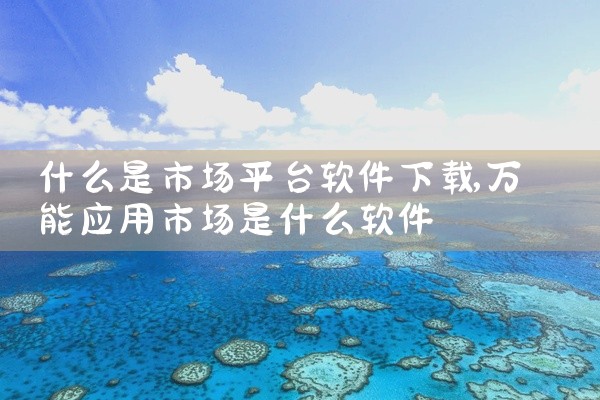 什么是市场平台软件下载